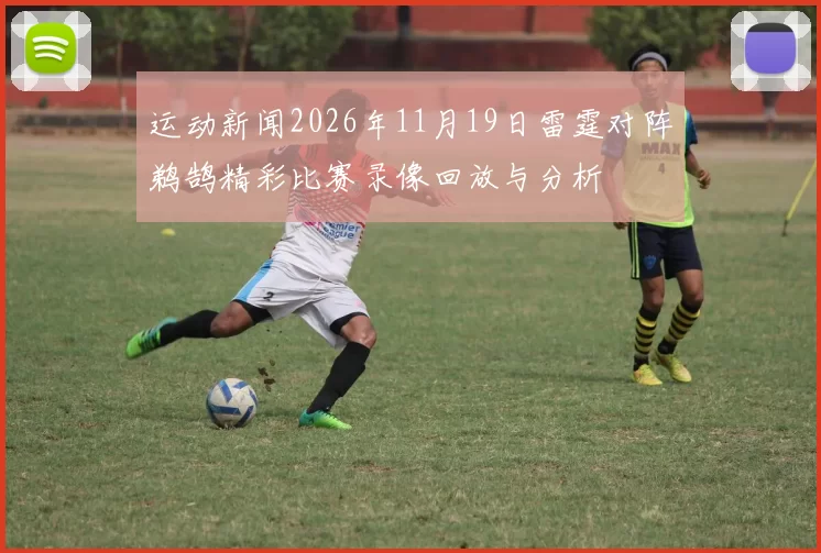 运动新闻2026年11月19日雷霆对阵鹈鹄精彩比赛录像回放与分析